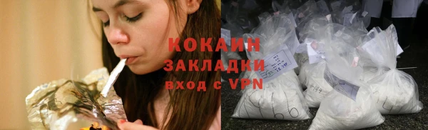 твердый Дмитриев