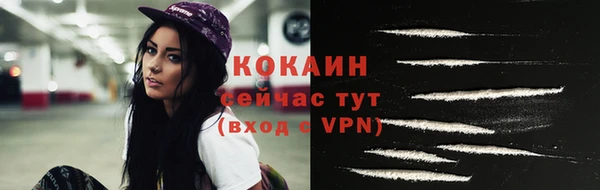 твердый Дмитриев