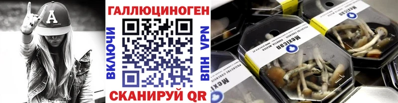 Купить где  Ясногорск  Галлюциногенные грибы GOLDEN TEACHER 